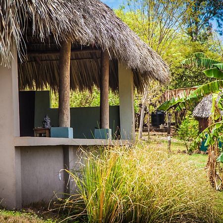 Coco Loco Eco-Resort Gemastepe Exterior photo